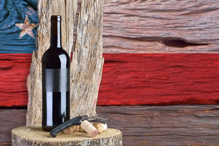 Viaggio enologico in Cile, esplorando le regioni vinicole emergenti